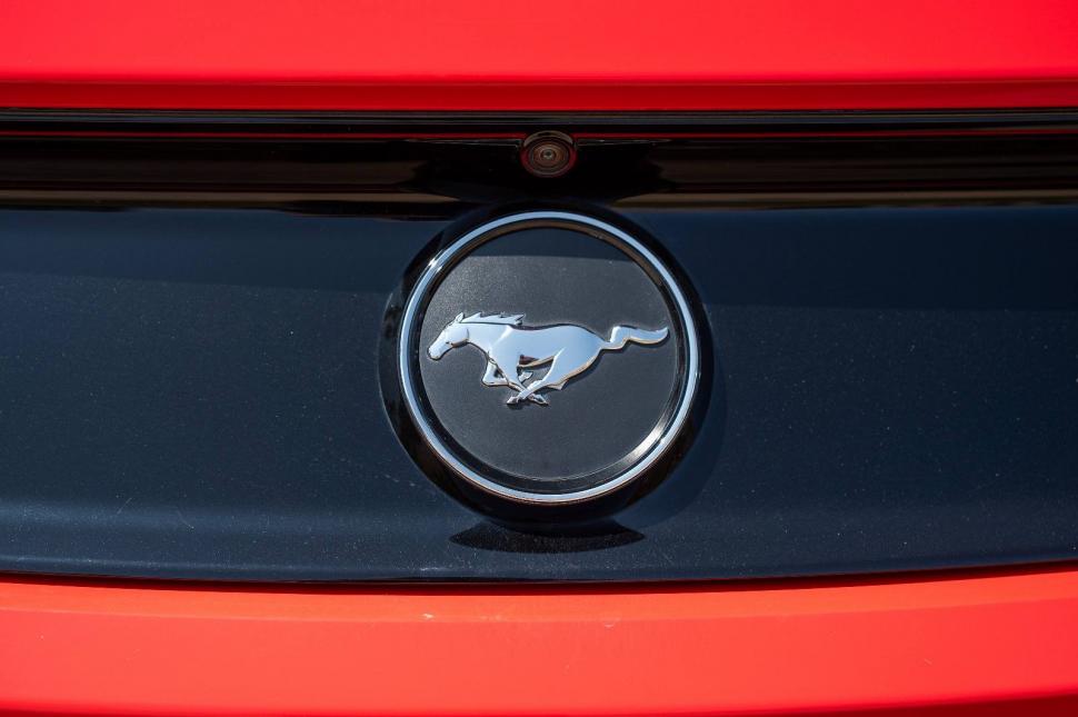 Timişoara, capitala cailor putere americani. Pasionaţii de maşini au admirat zeci de modele de Ford Mustang 982672