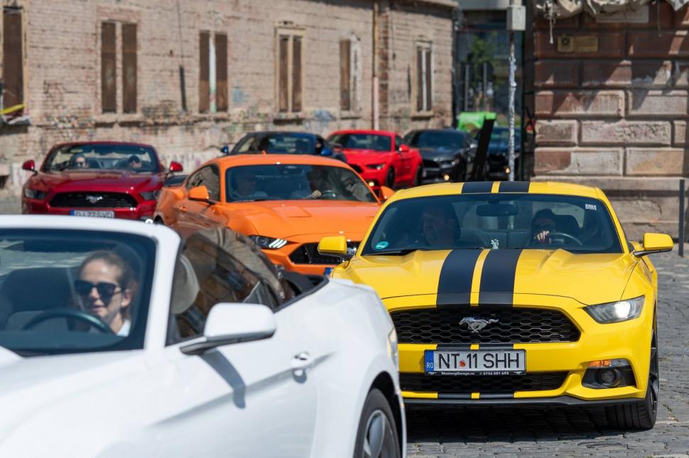 Timişoara, capitala cailor putere americani. Pasionaţii de maşini au admirat zeci de modele de Ford Mustang 982675