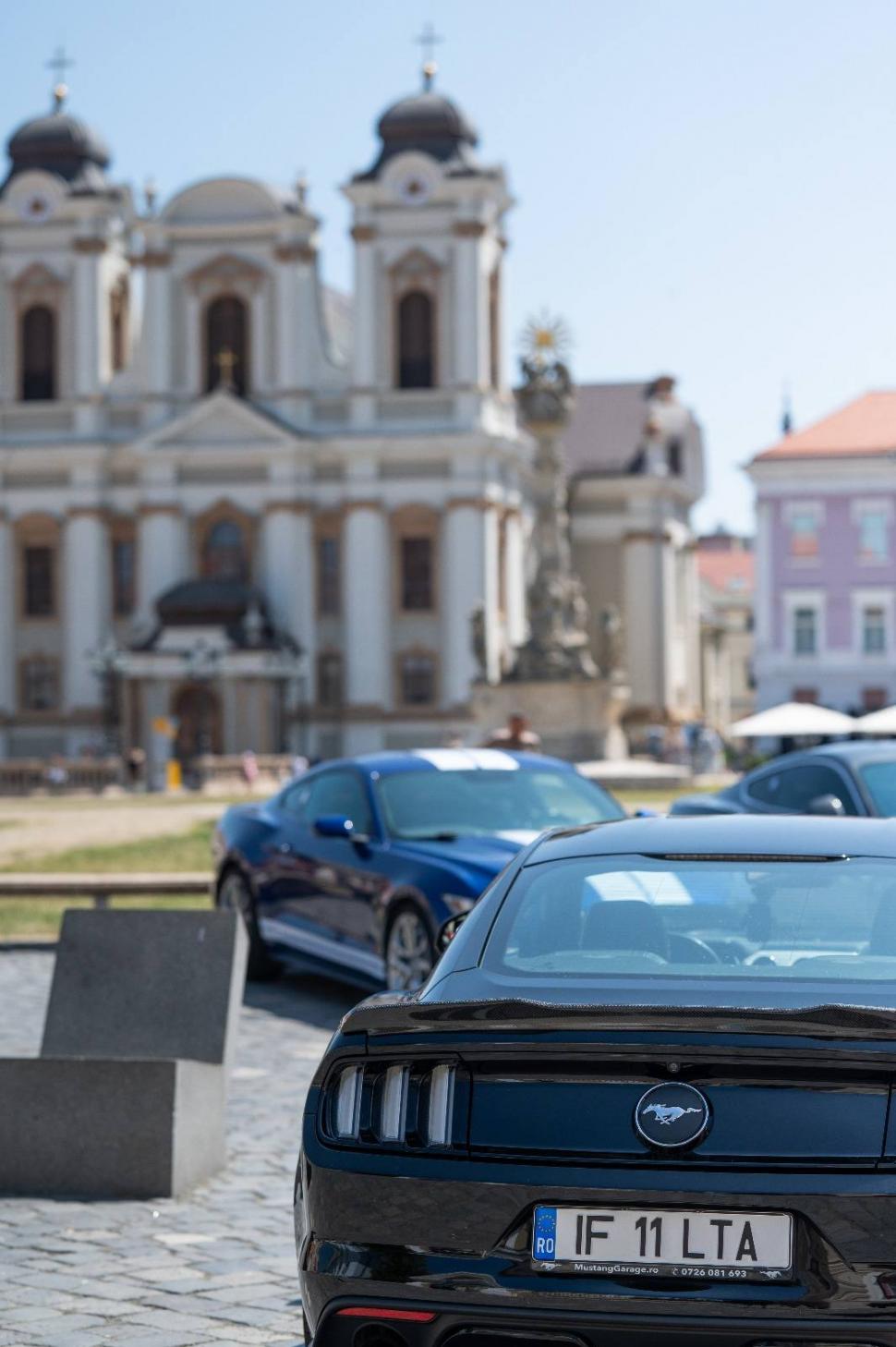 Timişoara, capitala cailor putere americani. Pasionaţii de maşini au admirat zeci de modele de Ford Mustang 982677