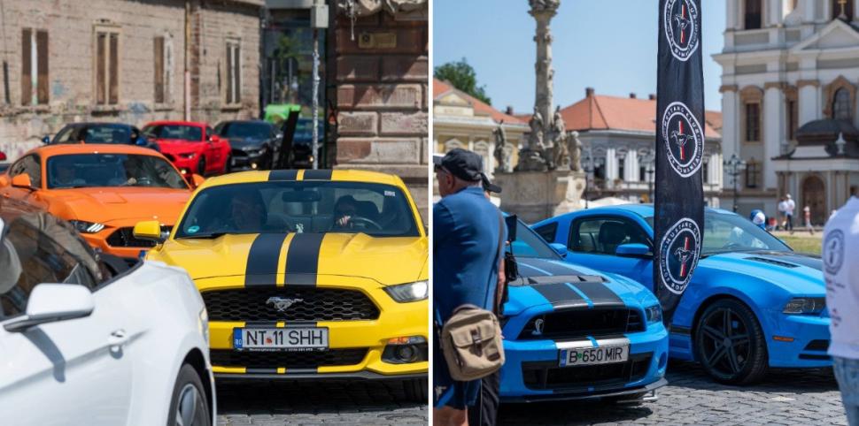 Timişoara, capitala cailor putere americani. Pasionaţii de maşini au admirat zeci de modele de Ford Mustang 982680