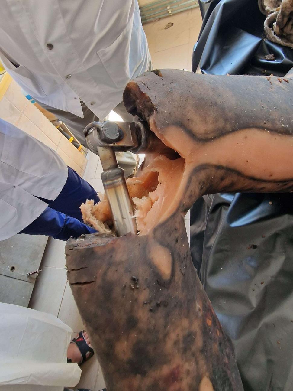 Cum a ajuns Poliția Română să ducă la INML o păpușă de plastic ca să îi facă autopsia 983343