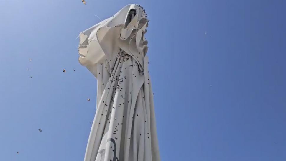 Invazie de gărgărițe în stațiunile de pe litoral. Turiștii din Mamaia sunt deranjați de buburuze, și pe plaje și la cazare 983809