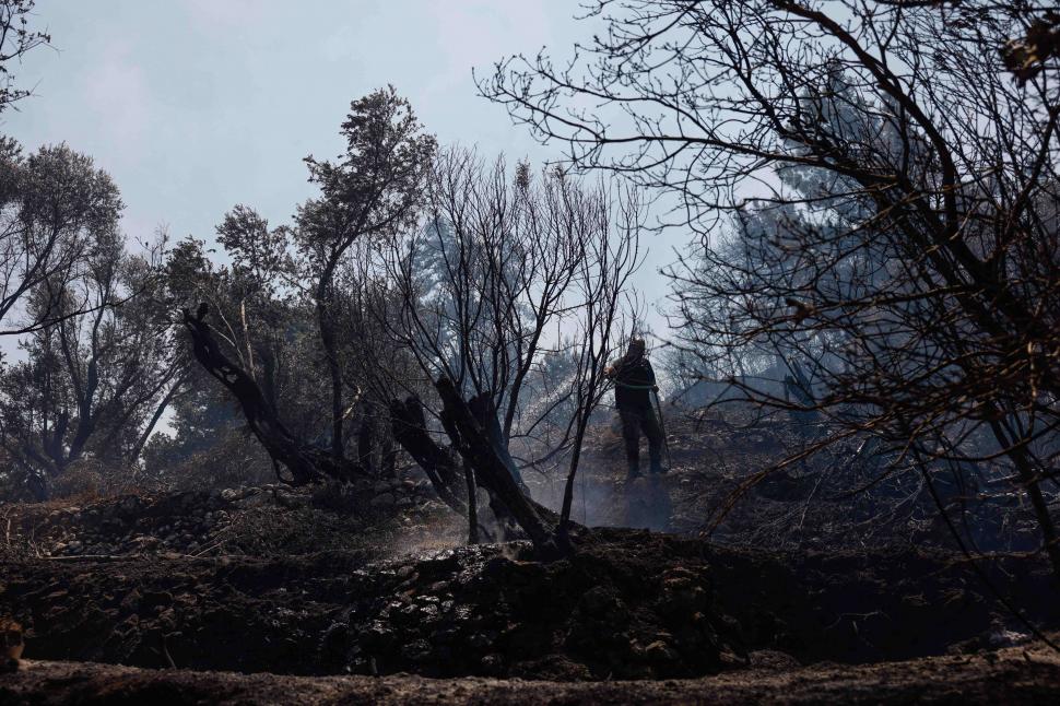 O femeie a aruncat o țigară și a incendiat o întreagă insulă din Grecia 983961