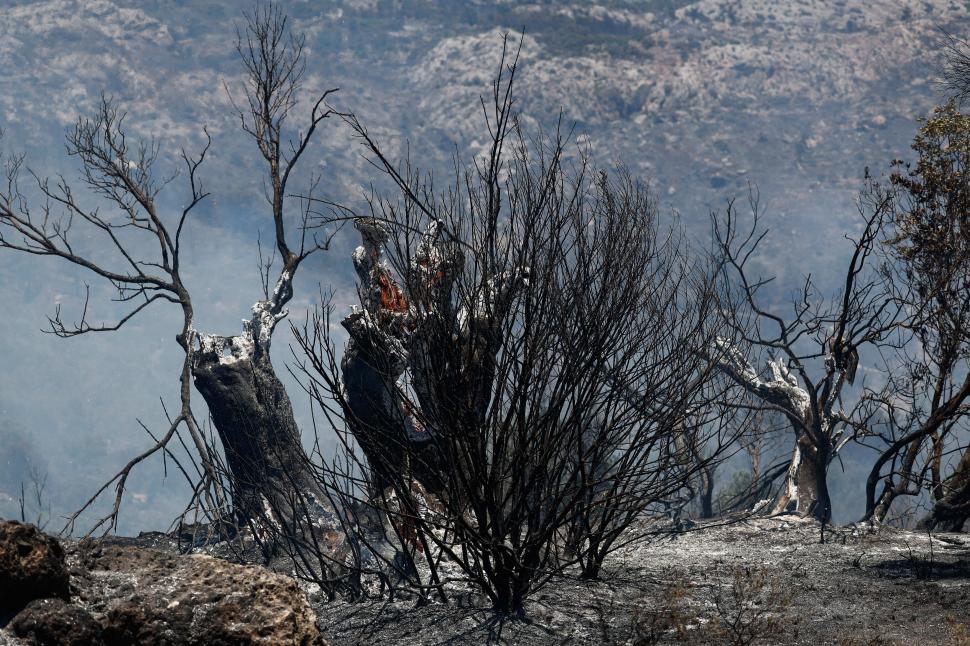 O femeie a aruncat o țigară și a incendiat o întreagă insulă din Grecia 983964