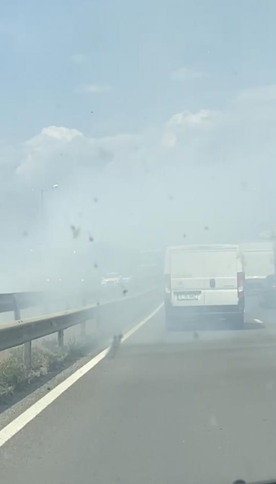 Trafic blocat pe DN1, lângă Ploiești, din cauza unui incendiu de vegetație. Sunt cozi kilometrice de mașini, s-a trimis mesaj Ro-alert 984218