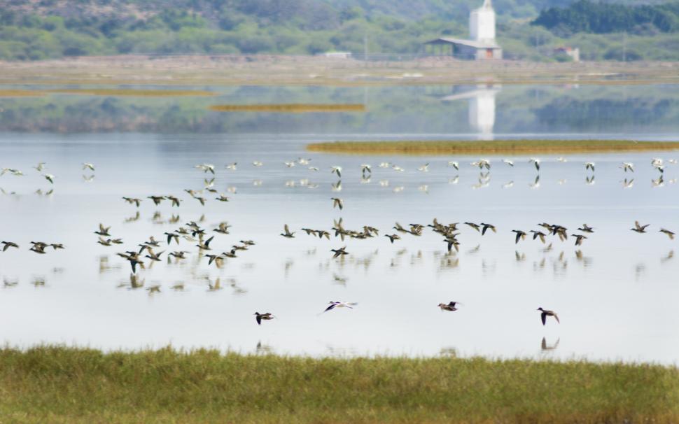 Avertisment dur: trei din patru situri UNESCO ar putea fi distruse fie de inundații, fie de secetă 985531