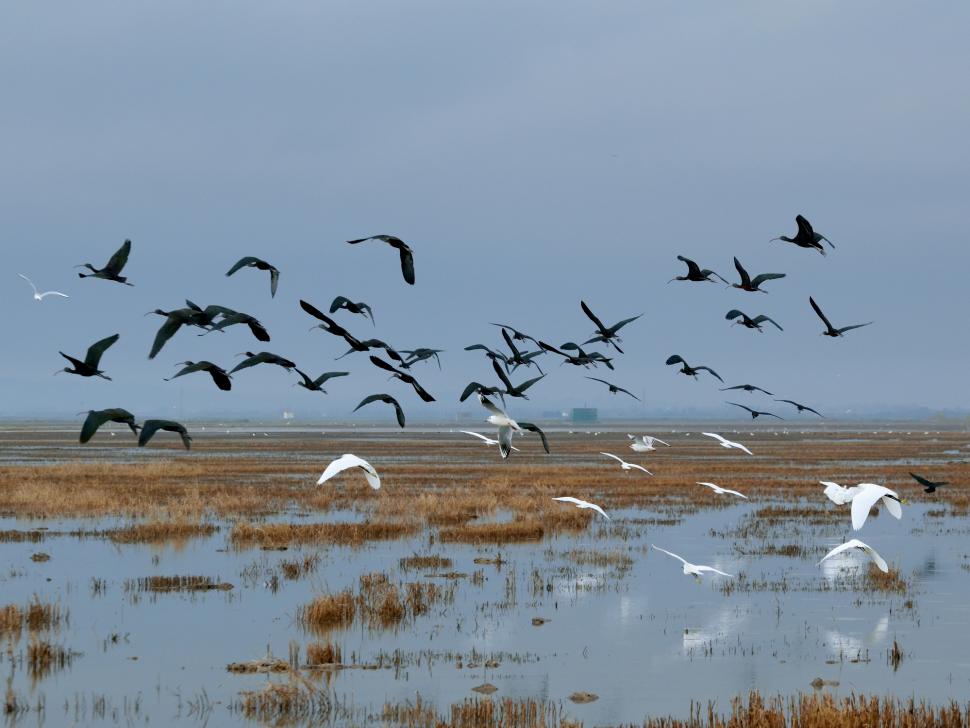 Avertisment dur: trei din patru situri UNESCO ar putea fi distruse fie de inundații, fie de secetă 985532