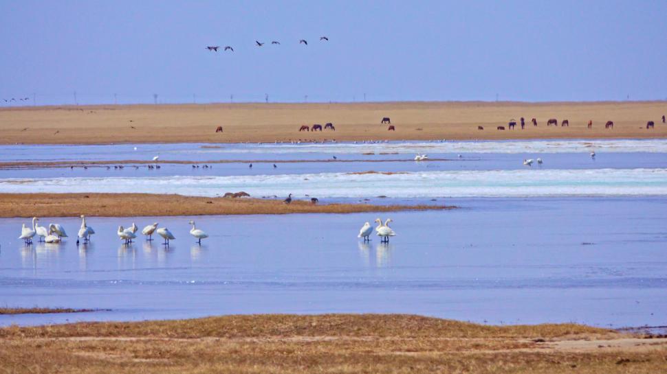 Avertisment dur: trei din patru situri UNESCO ar putea fi distruse fie de inundații, fie de secetă 985533