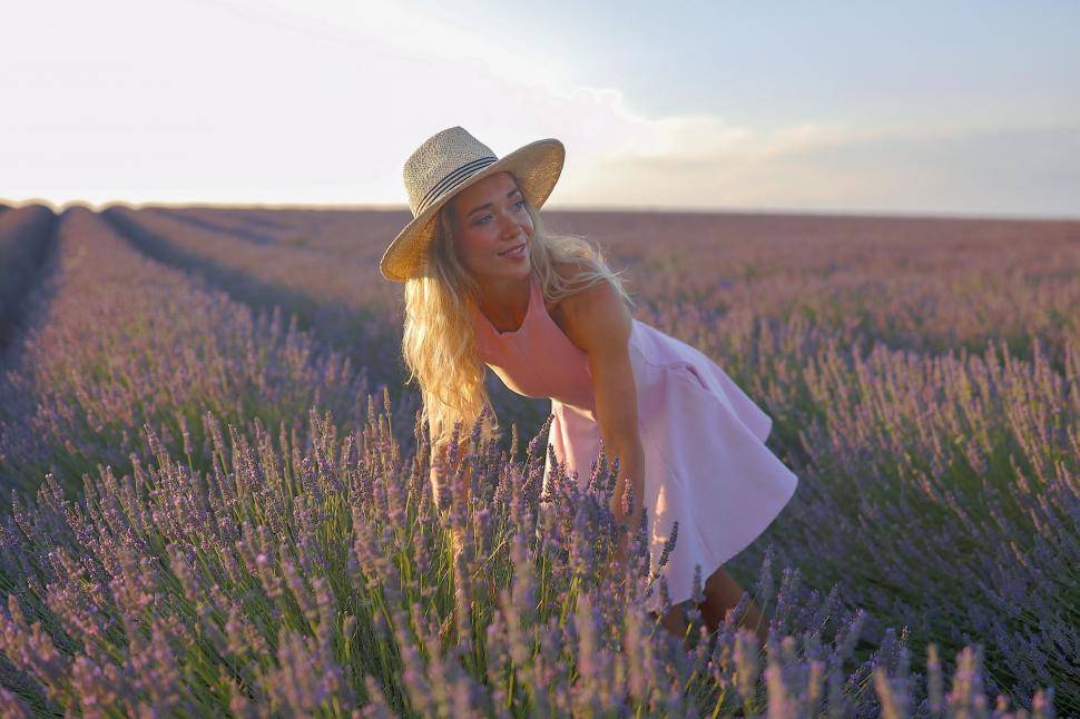 Începe recolta de lavandă în capitala „aurului albastru” din Provence. Turiștii s-au adunat pe câmpuri pentru poze „instagramabile” 985586