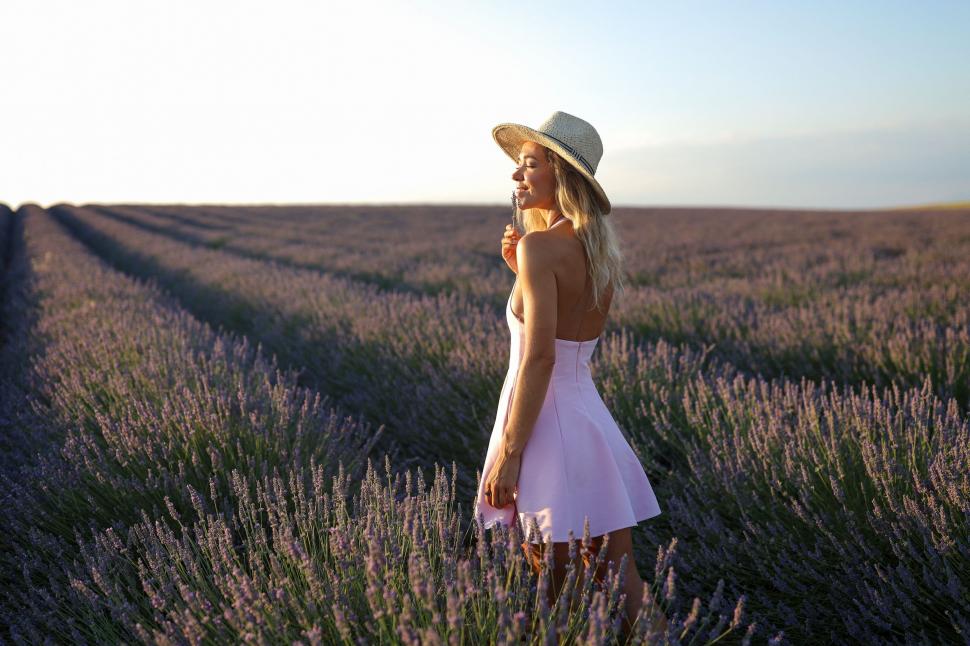 Începe recolta de lavandă în capitala „aurului albastru” din Provence. Turiștii s-au adunat pe câmpuri pentru poze „instagramabile” 985587