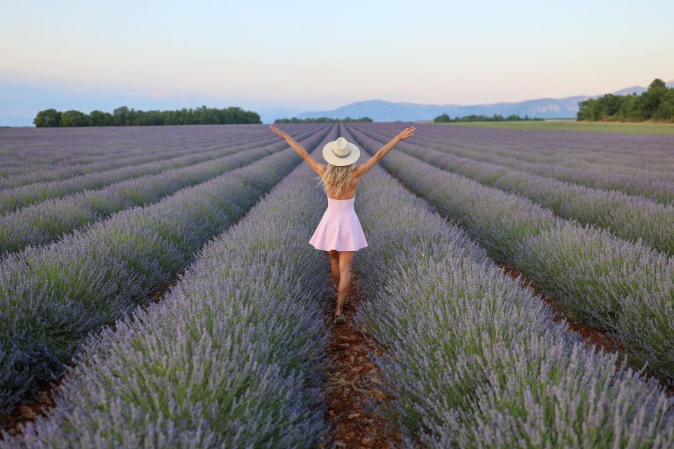 Începe recolta de lavandă în capitala „aurului albastru” din Provence. Turiștii s-au adunat pe câmpuri pentru poze „instagramabile” 985595