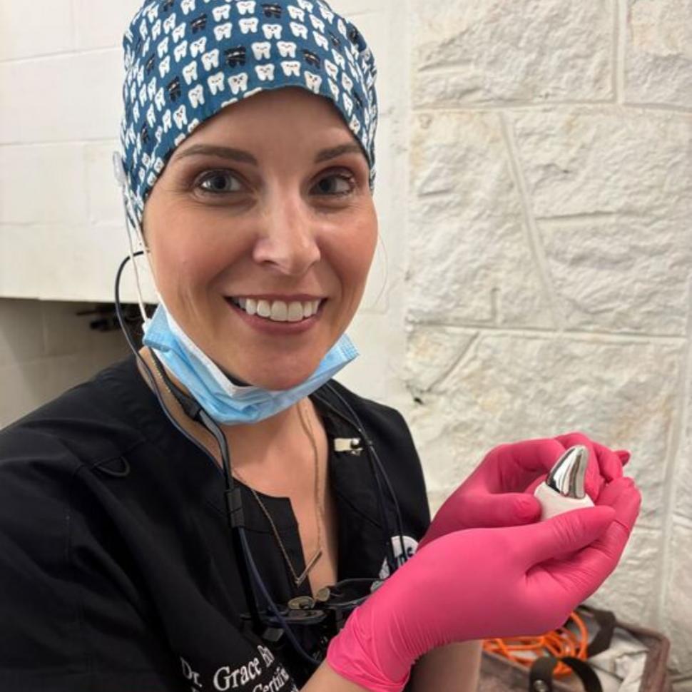 „Tundra tocmai a făcut istorie”: Dintele nou de titan primit de un urs brun a devenit cea mai mare coroană dentară din lume 985658