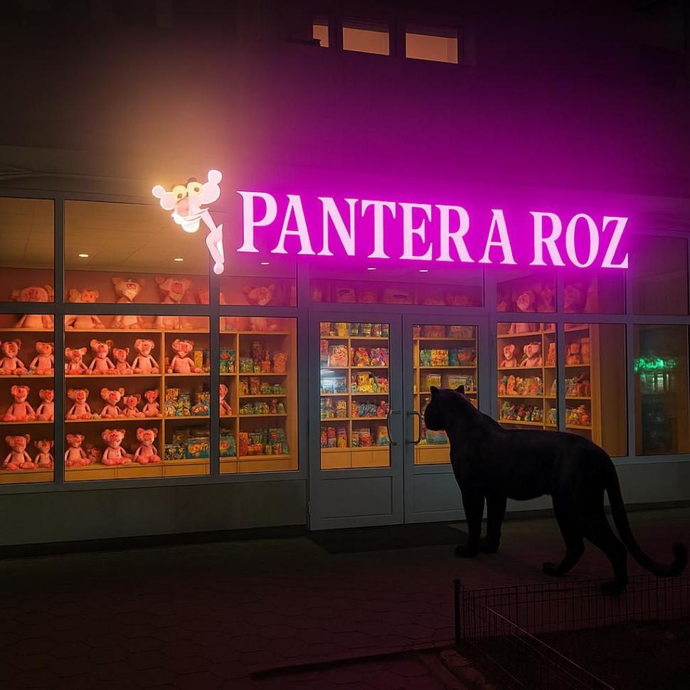 Festival de meme-uri pe internet cu pantera neagră în România: Felina ba mănâncă o șaorma la terasă, ba duce sticle la reciclat 986237