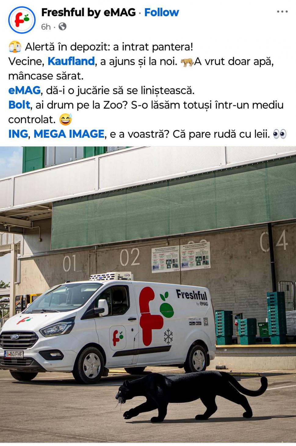 Festival de meme-uri pe internet cu pantera neagră în România: Felina ba mănâncă o șaorma la terasă, ba duce sticle la reciclat 986243