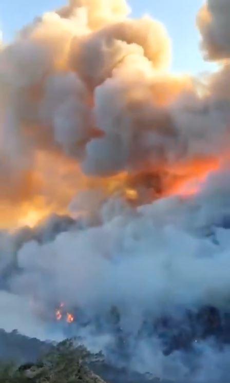 Cât de sigur e să mergi acum în Creta mistuită de incendii și ce șanse sunt să îți primești banii înapoi dacă anulezi vacanța 986519