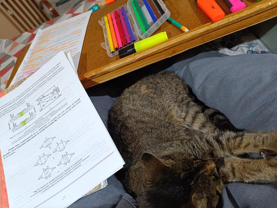 De la o viață frântă la șefă de promoție: „Nu sunt o victimă. Sunt o învingătoare” 985605