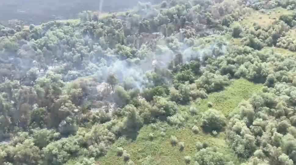 Incendiu uriaș în Delta Dunării. Flăcările care au ars peste 1.300 de hectare de vegetație au fost stinse după trei zile 987043