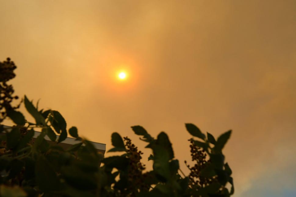 Incendiu uriaș în Marsilia: Flăcările au cuprins 350 de hectare și au ajuns în oraș. Aeroportul a fost închis  987507