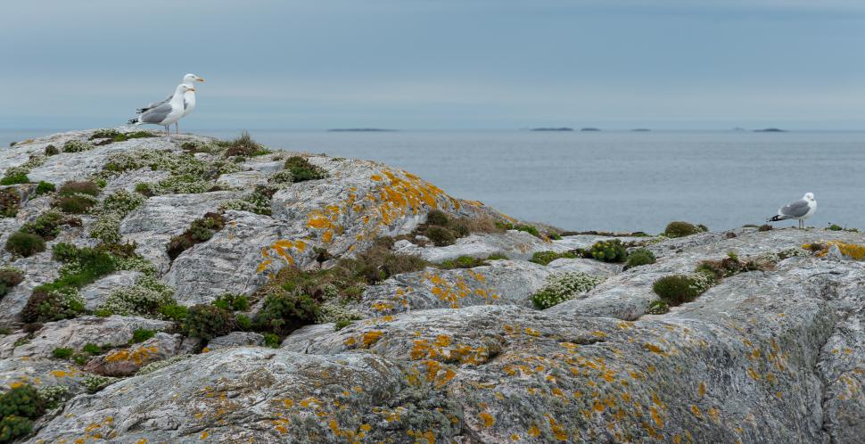 O insulă europeană minusculă este împărțită între două țări. E atât de mică încât poate fi traversată în câteva minute 987333