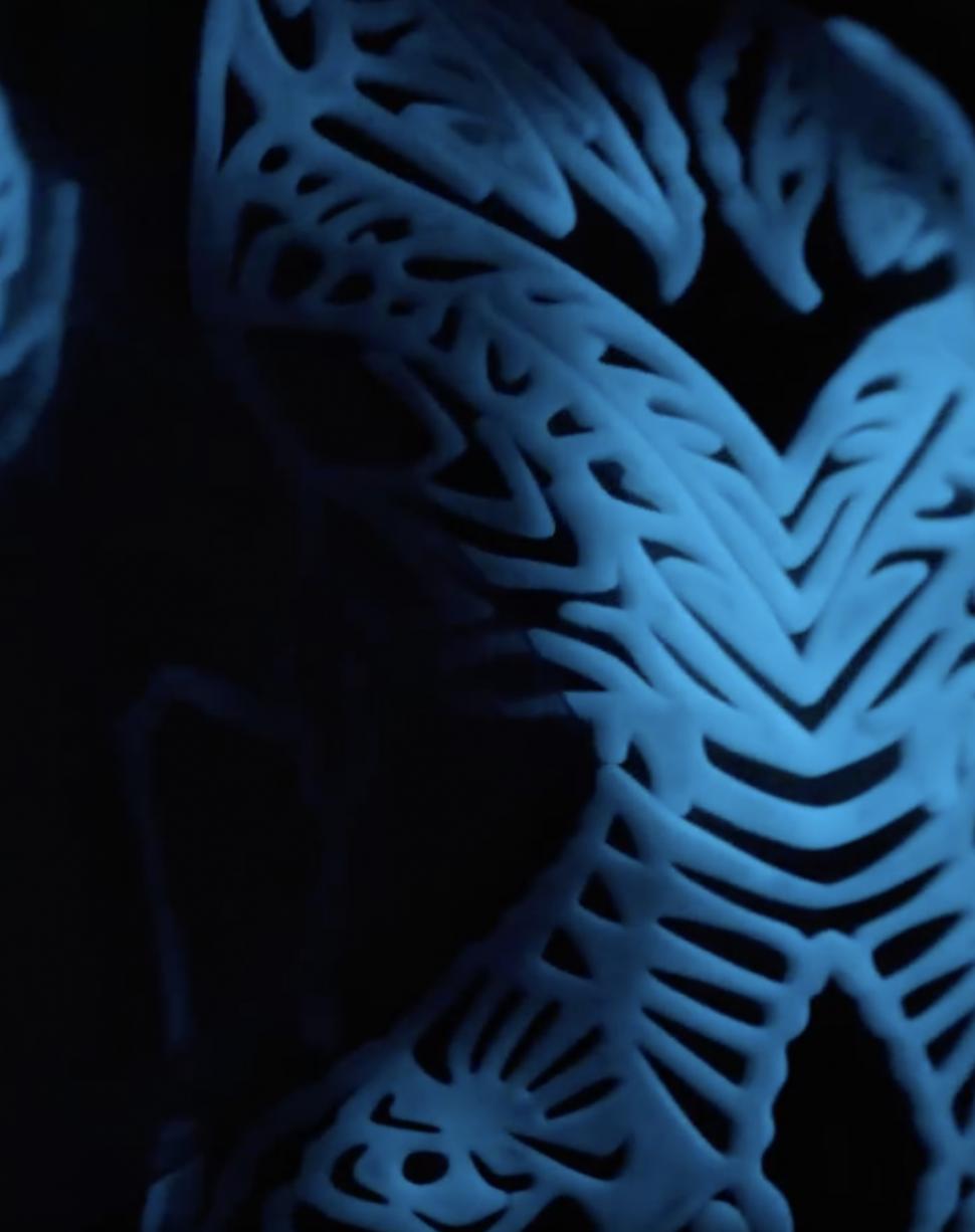 Un designer a uimit publicul cu o rochie „vie” din 125 de milioane de alge bioluminescente, la Săptămâna Haute Couture de la Paris 987327