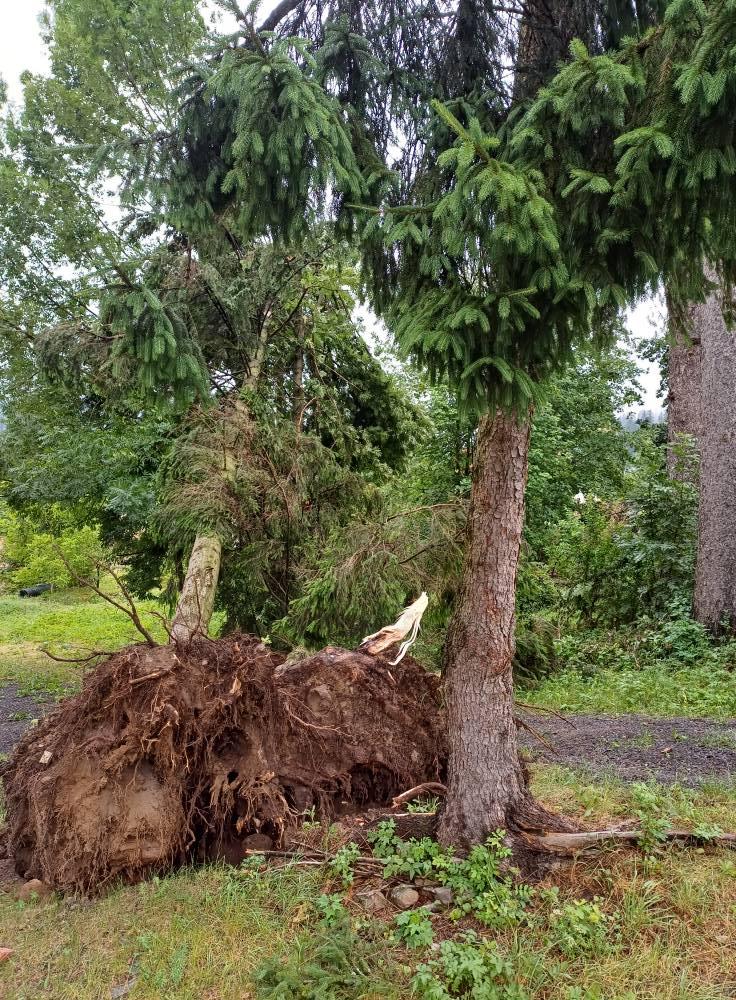 Imaginile dezastrului lăsat în urmă de furtuni și vijelii: Copacii au fost smulși de rafale de peste 100 km/h. Sunt pagube în 19 județe 987677