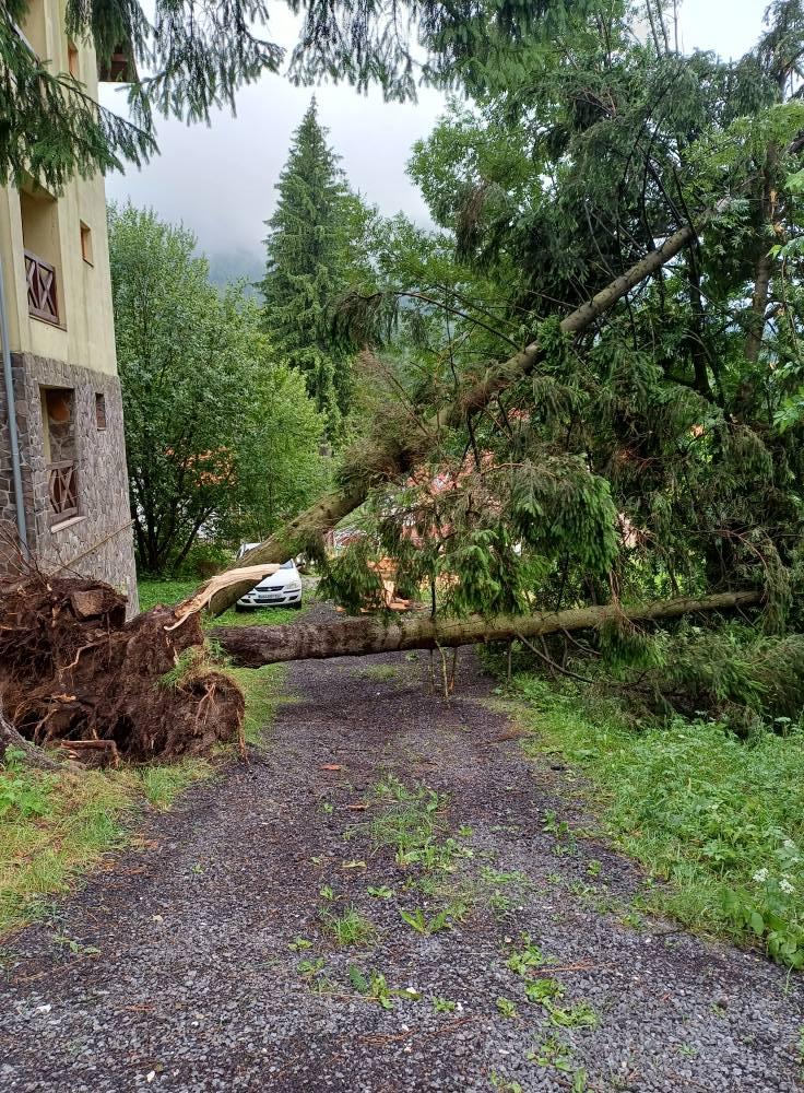 Imaginile dezastrului lăsat în urmă de furtuni și vijelii: Copacii au fost smulși de rafale de peste 100 km/h. Sunt pagube în 19 județe 987678