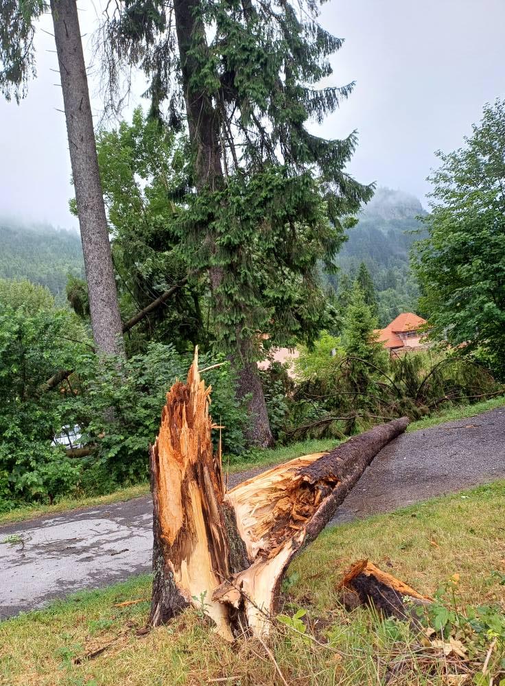 Imaginile dezastrului lăsat în urmă de furtuni și vijelii: Copacii au fost smulși de rafale de peste 100 km/h. Sunt pagube în 19 județe 987679