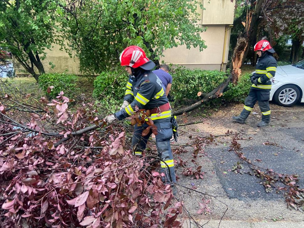 Imaginile dezastrului lăsat în urmă de furtuni și vijelii: Copacii au fost smulși de rafale de peste 100 km/h. Sunt pagube în 19 județe 987682