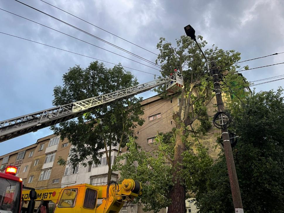 Imaginile dezastrului lăsat în urmă de furtuni și vijelii: Copacii au fost smulși de rafale de peste 100 km/h. Sunt pagube în 19 județe 987683