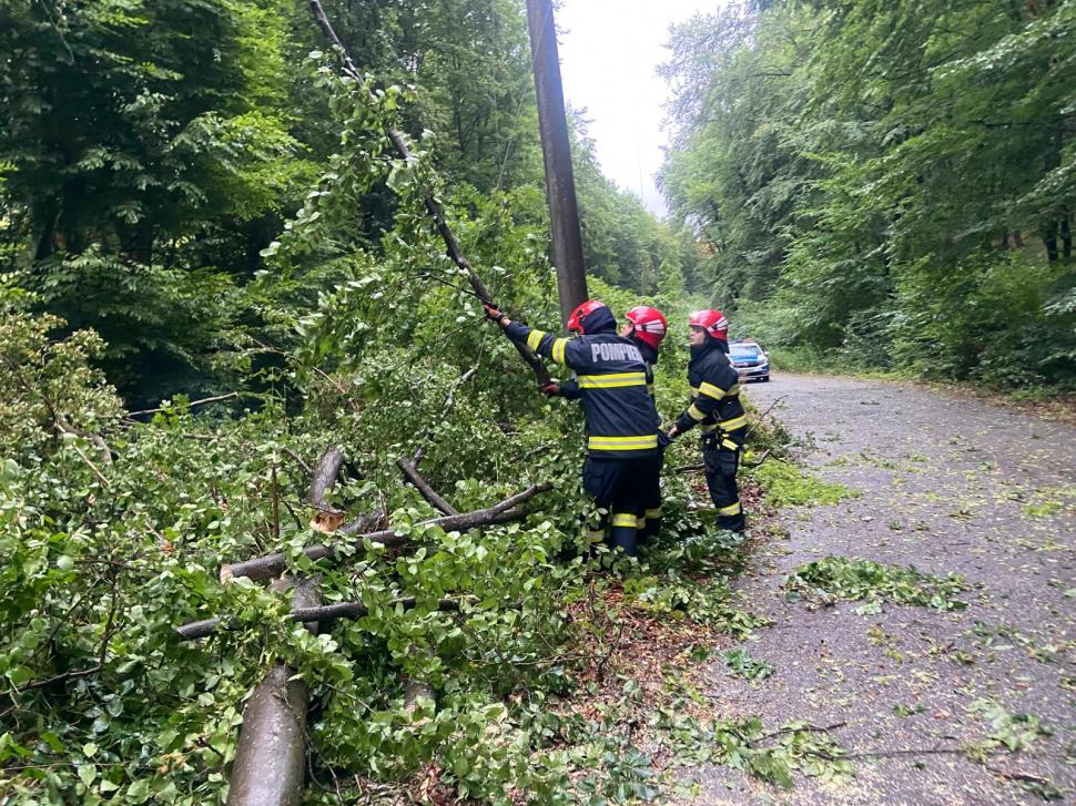 Imaginile dezastrului lăsat în urmă de furtuni și vijelii: Copacii au fost smulși de rafale de peste 100 km/h. Sunt pagube în 19 județe 987686