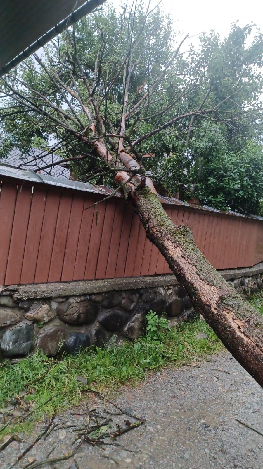 Imaginile dezastrului lăsat în urmă de furtuni și vijelii: Copacii au fost smulși de rafale de peste 100 km/h. Sunt pagube în 19 județe 987689