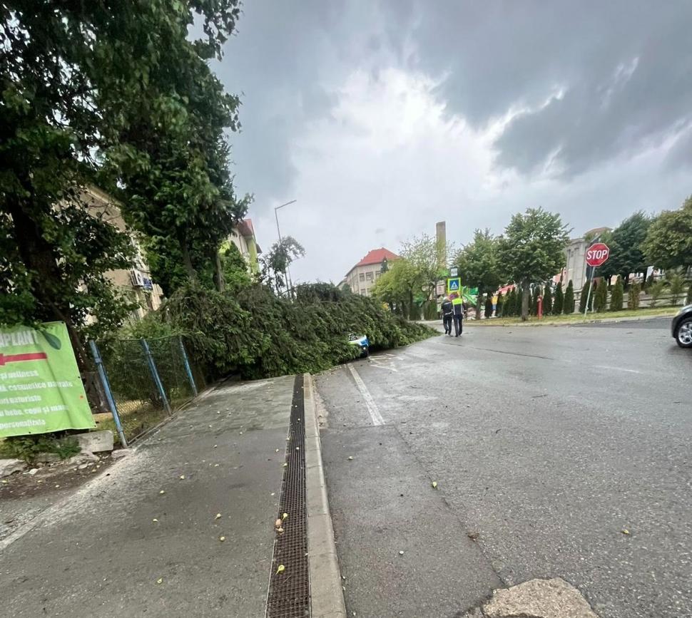 Imaginile dezastrului lăsat în urmă de furtuni și vijelii: Copacii au fost smulși de rafale de peste 100 km/h. Sunt pagube în 19 județe 987692