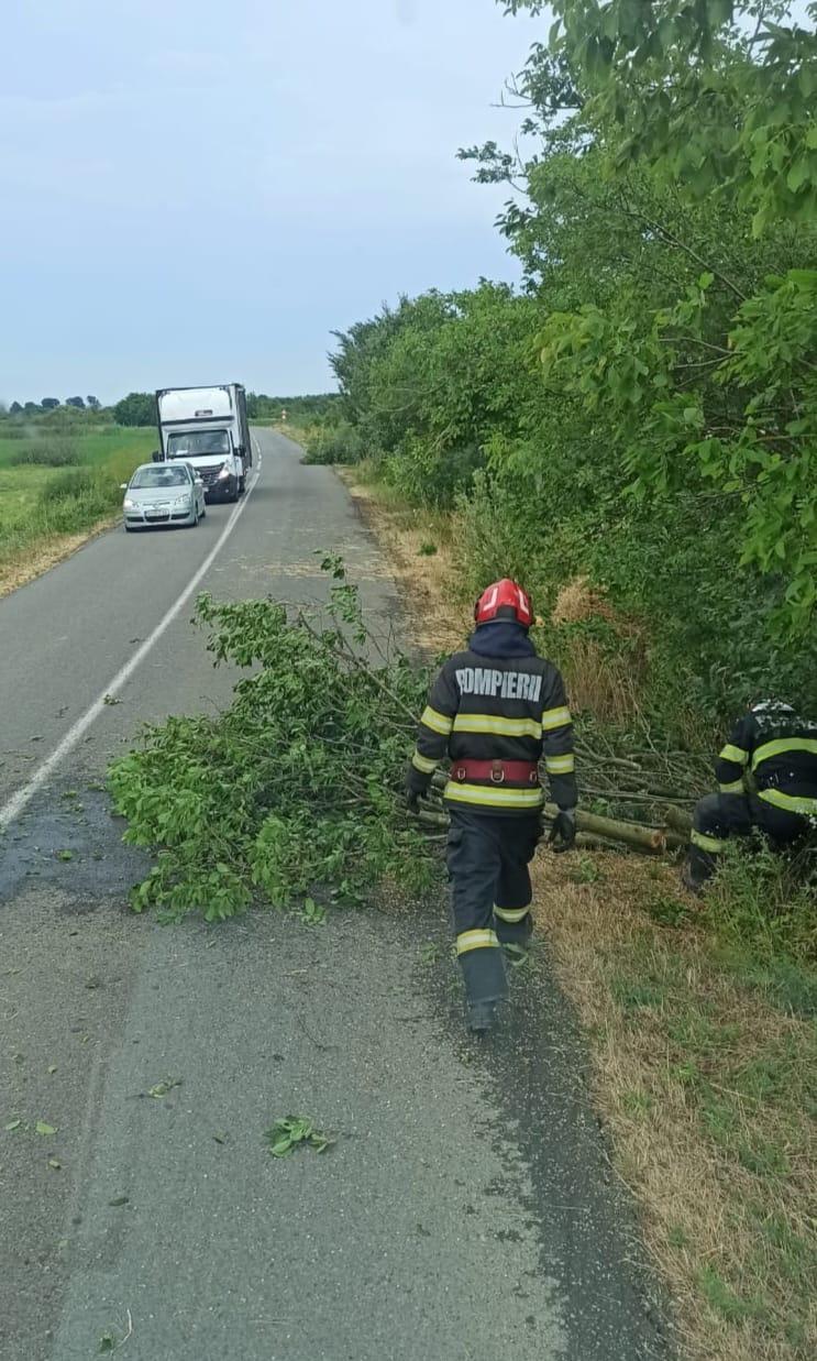 Imaginile dezastrului lăsat în urmă de furtuni și vijelii: Copacii au fost smulși de rafale de peste 100 km/h. Sunt pagube în 19 județe 987693