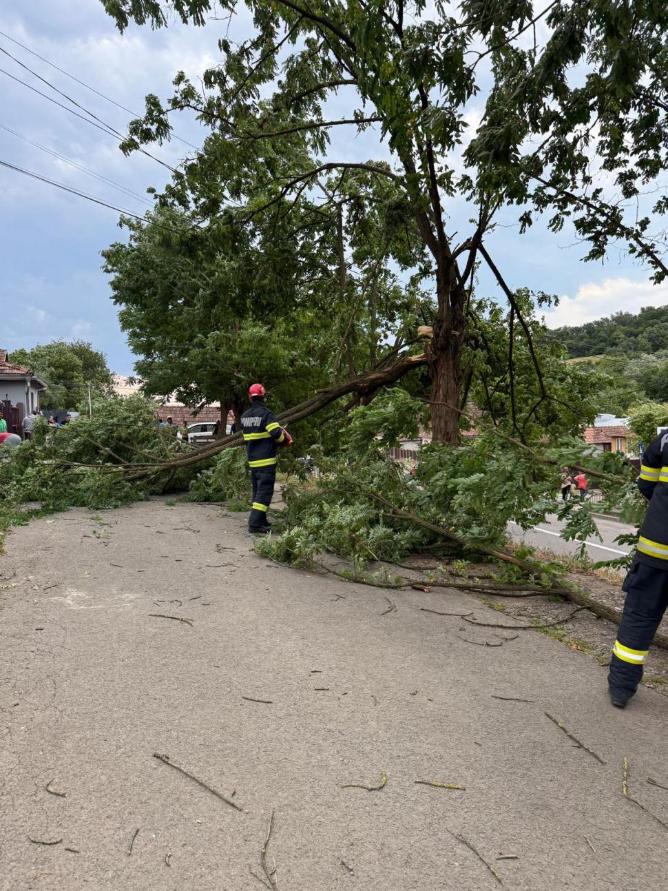 Imaginile dezastrului lăsat în urmă de furtuni și vijelii: Copacii au fost smulși de rafale de peste 100 km/h. Sunt pagube în 19 județe 987698