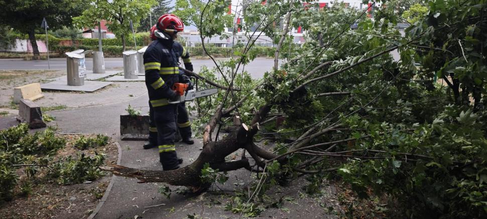 Imaginile dezastrului lăsat în urmă de furtuni și vijelii: Copacii au fost smulși de rafale de peste 100 km/h. Sunt pagube în 19 județe 987699