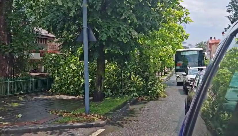 „S-a văzut o tornadă cum a venit și a ras efectiv toți copacii”. Mărturii din Sinaia despre furtuna care a devastat tot în calea ei 987845