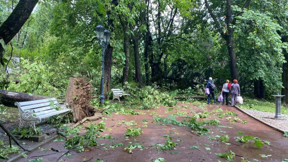 „S-a văzut o tornadă cum a venit și a ras efectiv toți copacii”. Mărturii din Sinaia despre furtuna care a devastat tot în calea ei 987859