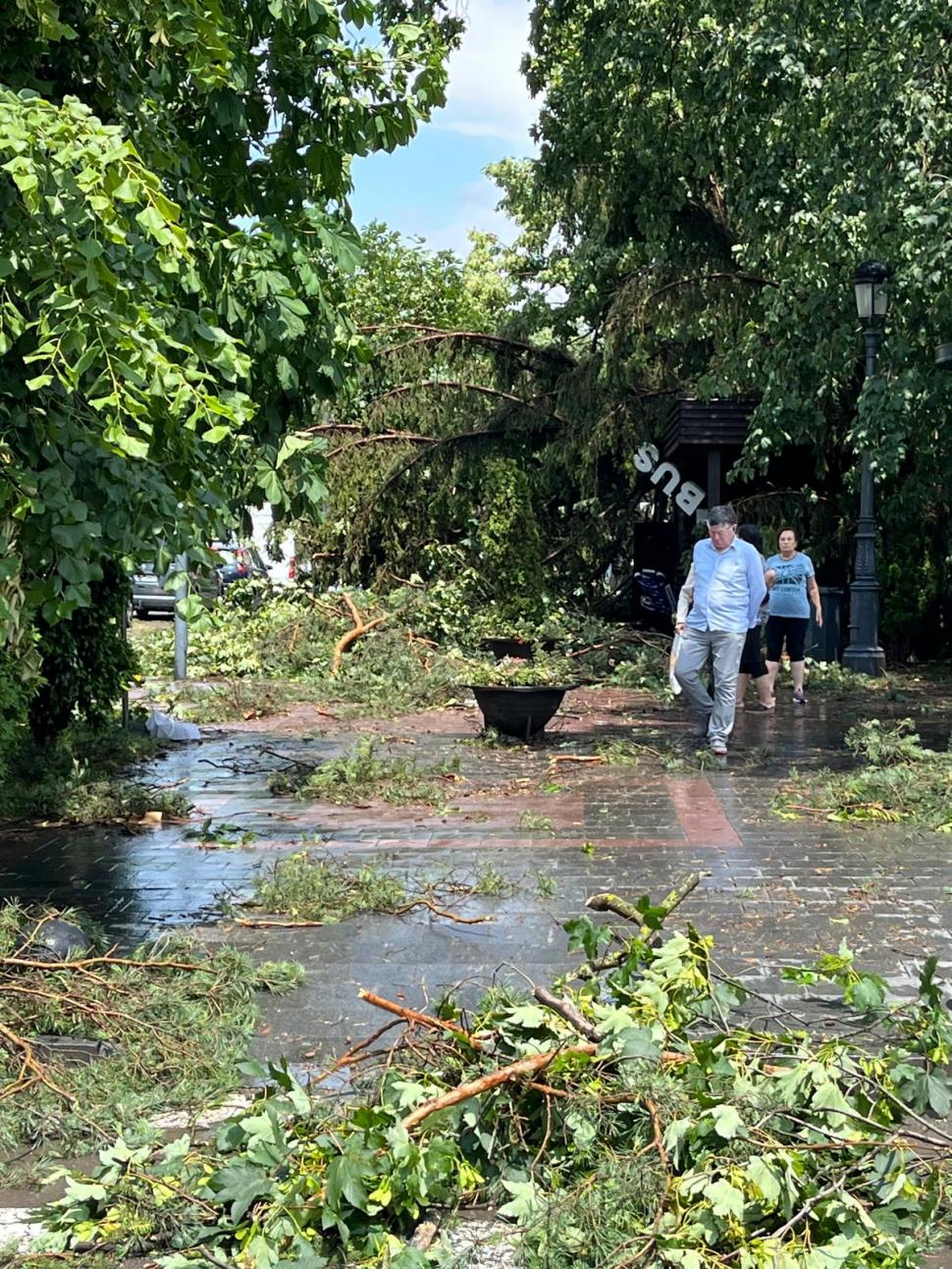 „Sfârșitul lumii în Sinaia”: Sunt 16 răniți, majoritatea turiști străini. Acoperișul gării a fost smuls de vijelie și aruncat peste DN1 987807