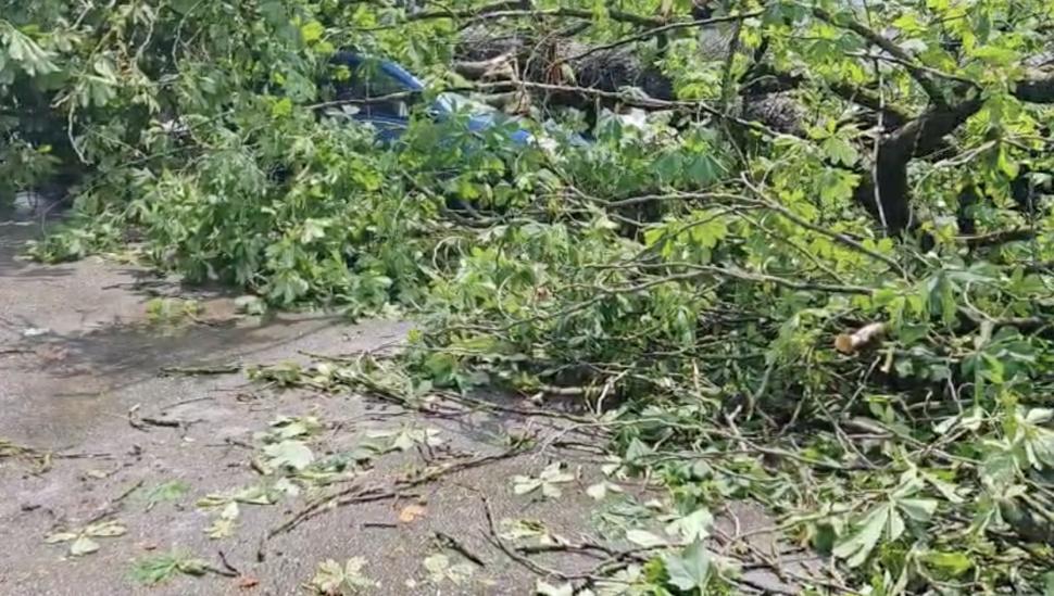 „Sfârșitul lumii în Sinaia”: Sunt 16 răniți, majoritatea turiști străini. Acoperișul gării a fost smuls de vijelie și aruncat peste DN1 987814