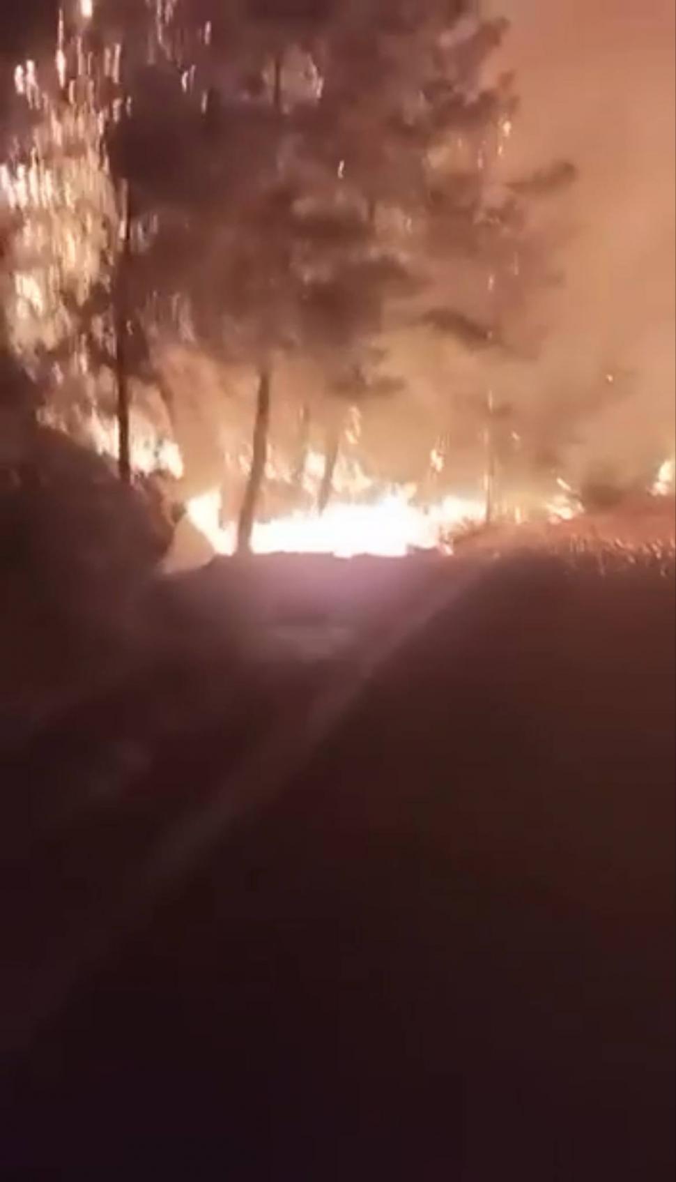 Incendiu în Thassos. Flăcările au ajuns până la drum. Au fost trimiși pompieri din Kavala, pene de curent pe insulă 987965