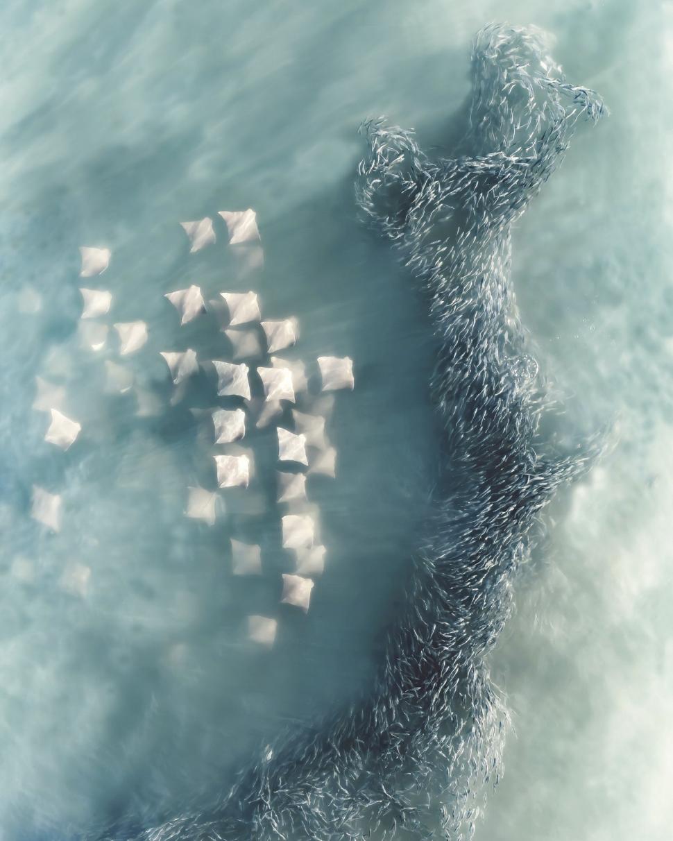 Priveliști uluitoare de la înălțime: Imaginile care au câștigat concursul internațional „Fotograful aerian al anului 2025” 988078