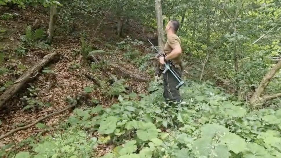 Unul dintre ursuleții orfani de pe Transfăgărășan a fost găsit: „E în siguranță”. Continuă căutările pentru a salva și ceilalți 2 pui 988148