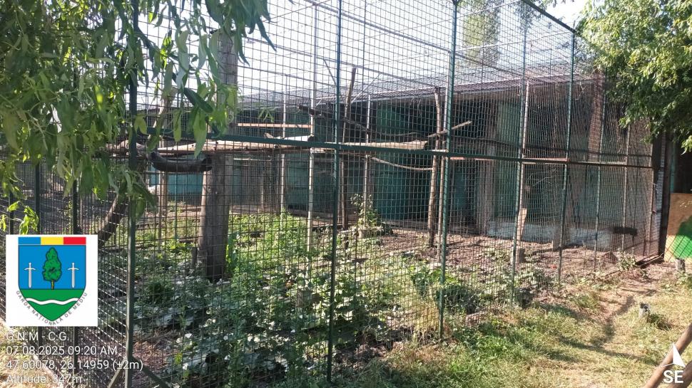 „Ligrul” de la Suceava nu mai poate fi vizitat. Grădina Zoologică din Zaharești a fost închisă și amendată 988915