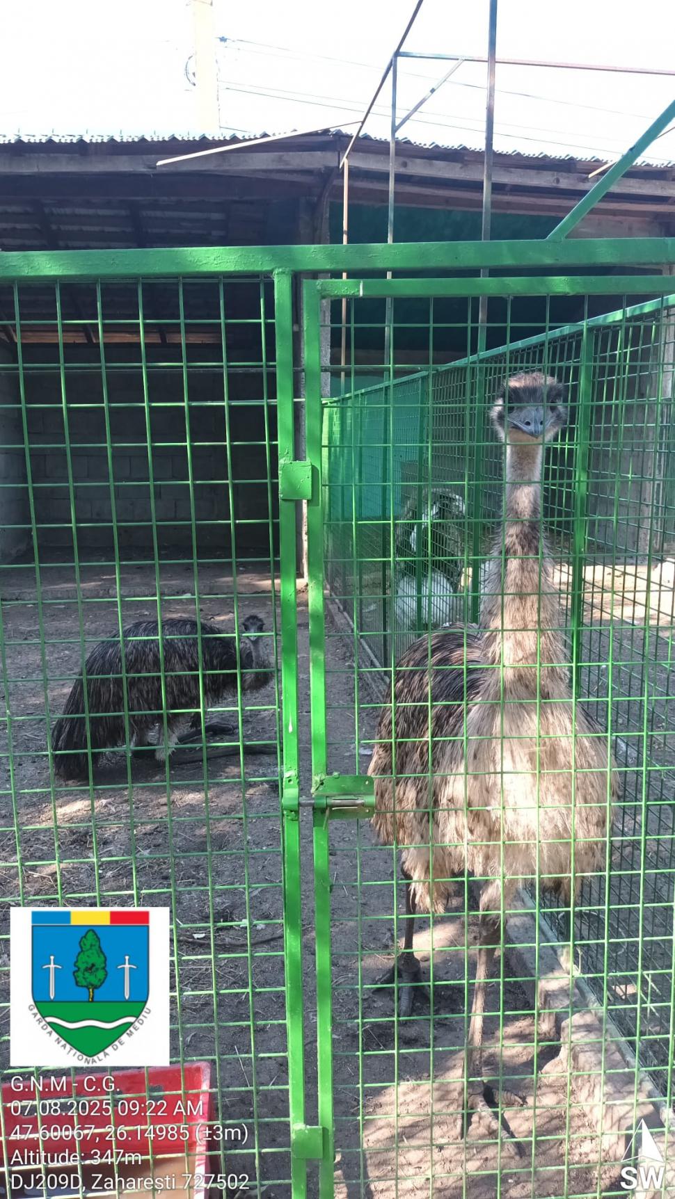 „Ligrul” de la Suceava nu mai poate fi vizitat. Grădina Zoologică din Zaharești a fost închisă și amendată 988916
