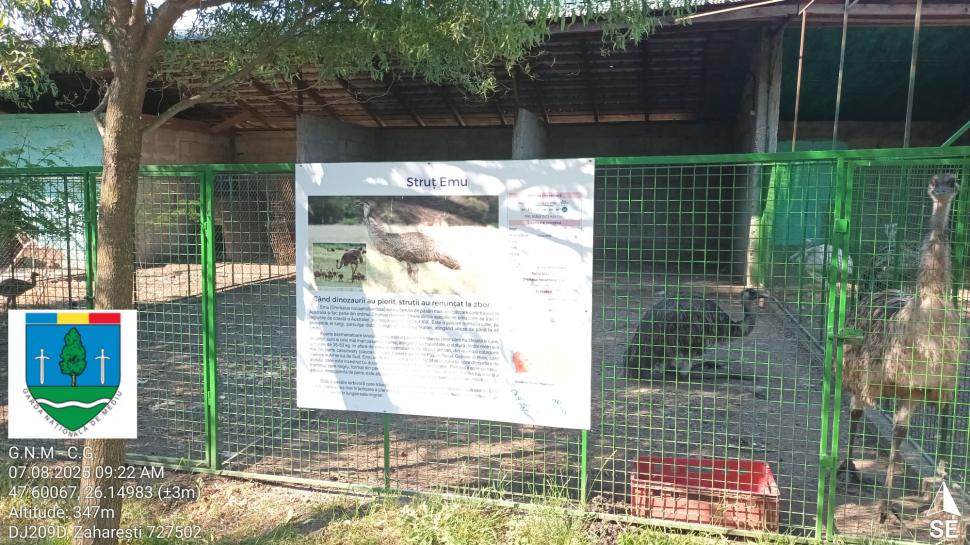 „Ligrul” de la Suceava nu mai poate fi vizitat. Grădina Zoologică din Zaharești a fost închisă și amendată 988918