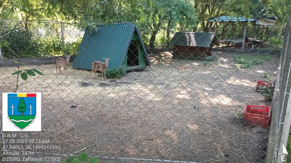 „Ligrul” de la Suceava nu mai poate fi vizitat. Grădina Zoologică din Zaharești a fost închisă și amendată 988920