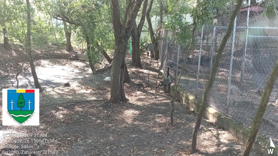 „Ligrul” de la Suceava nu mai poate fi vizitat. Grădina Zoologică din Zaharești a fost închisă și amendată 988921