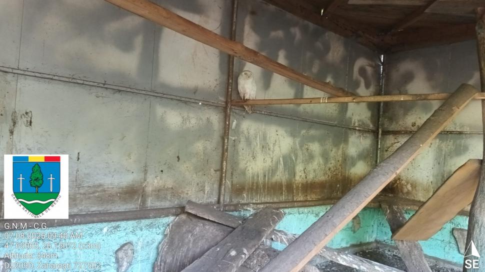 „Ligrul” de la Suceava nu mai poate fi vizitat. Grădina Zoologică din Zaharești a fost închisă și amendată 988928