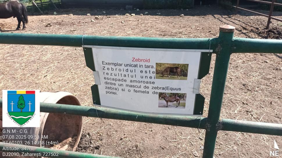 „Ligrul” de la Suceava nu mai poate fi vizitat. Grădina Zoologică din Zaharești a fost închisă și amendată 988935