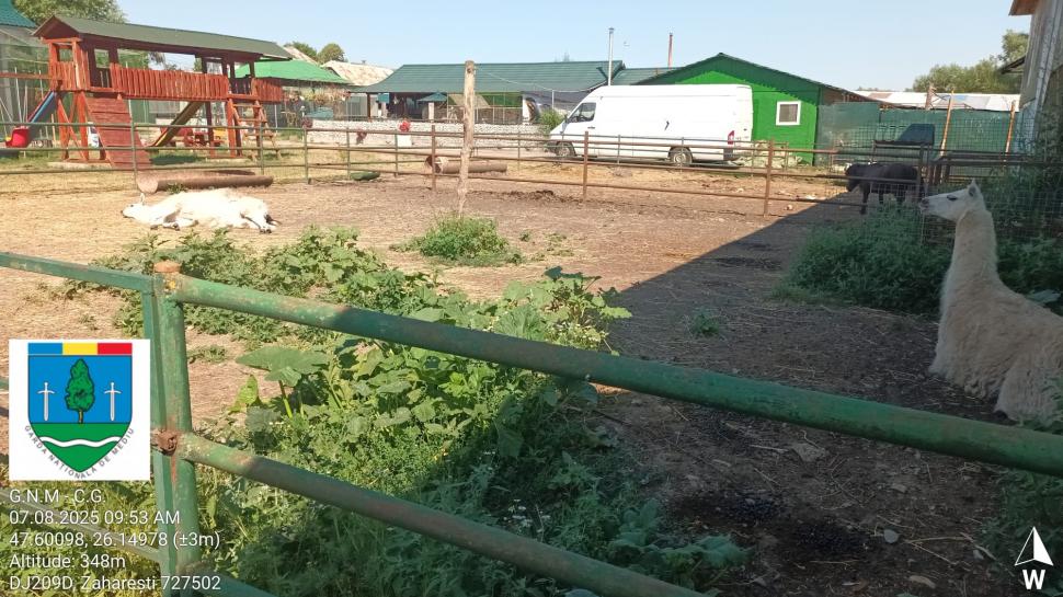 „Ligrul” de la Suceava nu mai poate fi vizitat. Grădina Zoologică din Zaharești a fost închisă și amendată 988937